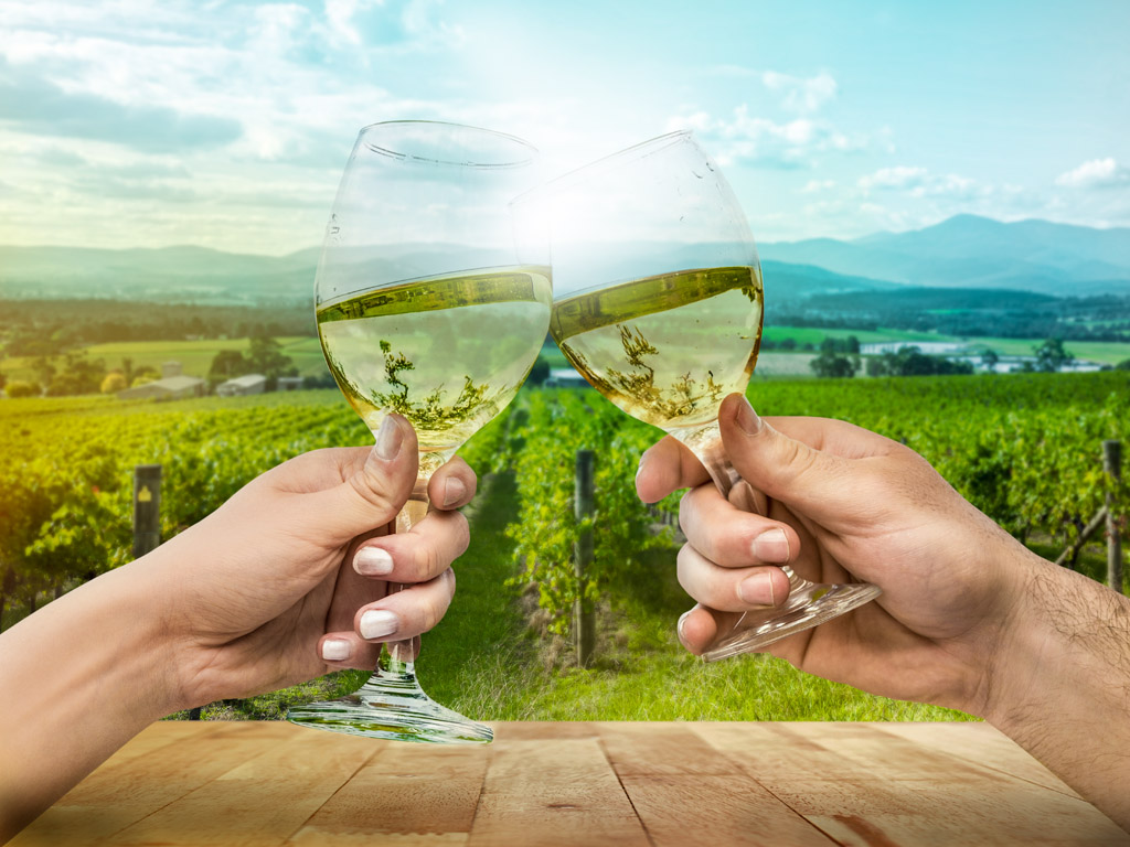 Yarra Valley Winery Day Tour